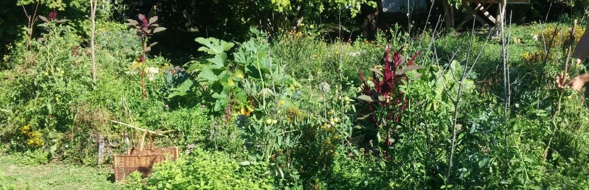 Permaculture garden camping